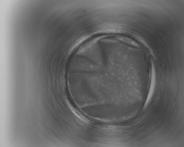 X0000080150677200612302128