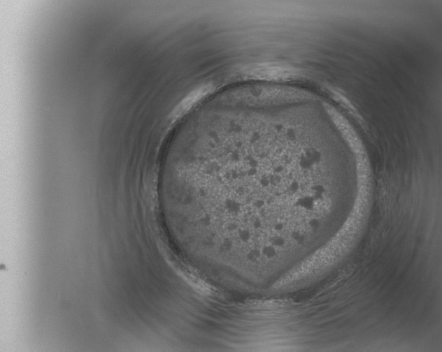 X0000080150679200612302128