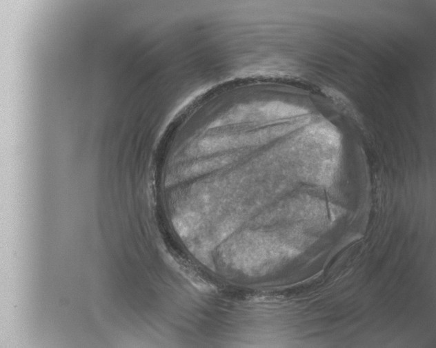 X0000080150680200612302128