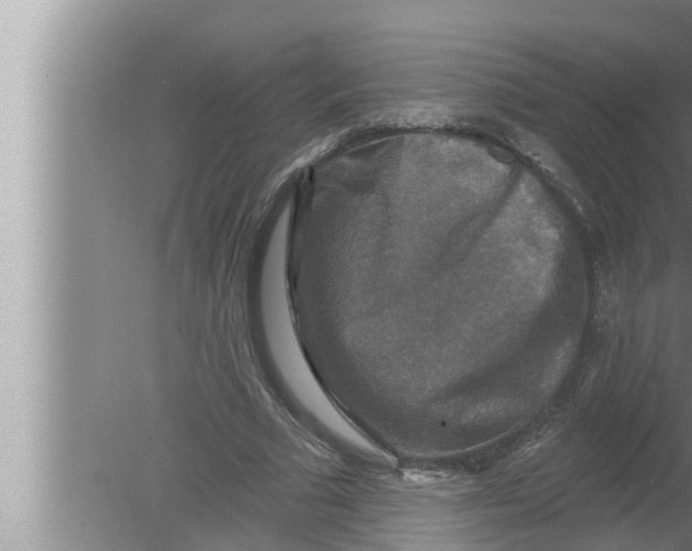 X0000080150681200612302128