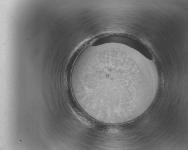 X0000080150684200612302128