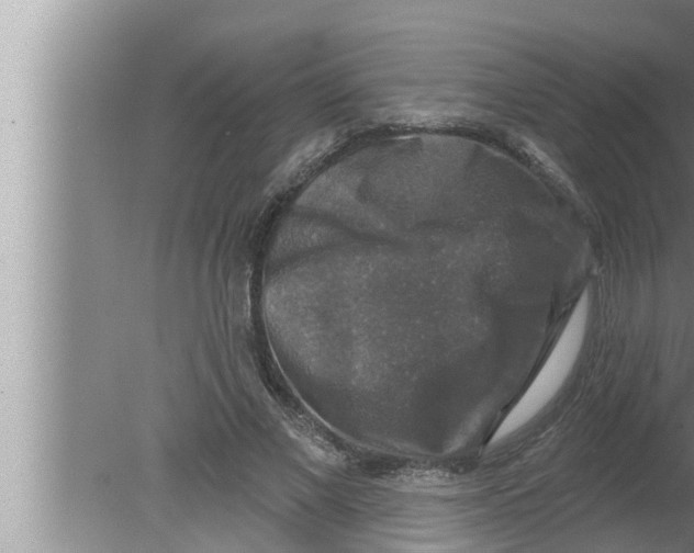 X0000080150685200612302128