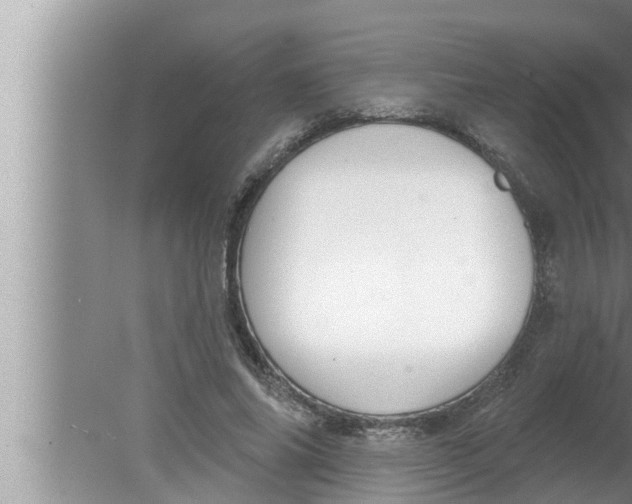 X0000080150686200612302128