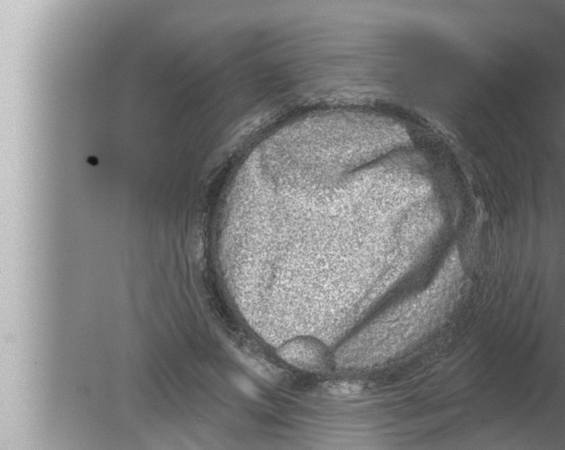 X0000080150687200612302128