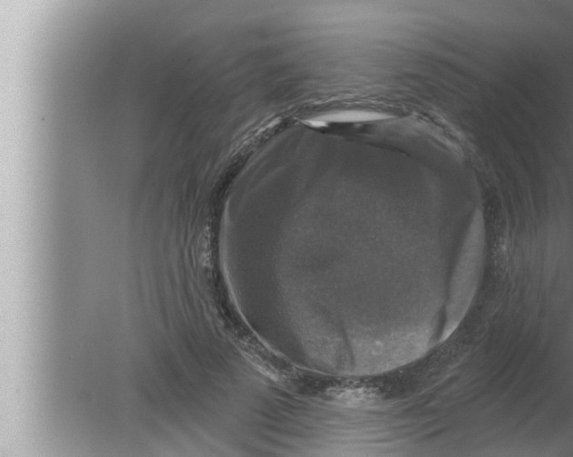 X0000080150689200612302128