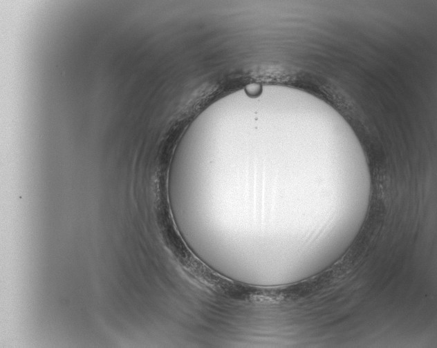 X0000080150690200612302128