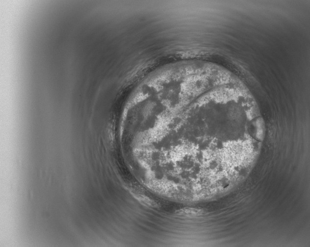 X0000080150691200612302128