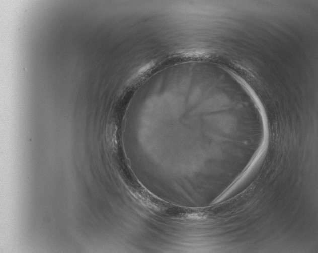 X0000080150692200612302128