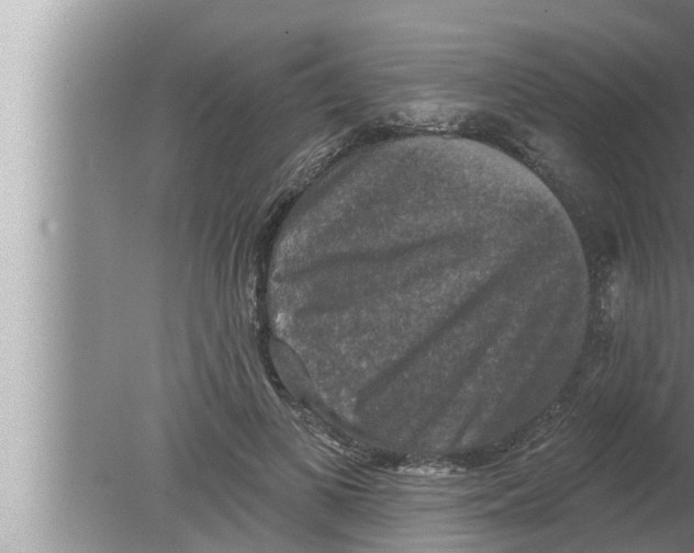 X0000080150693200612302128