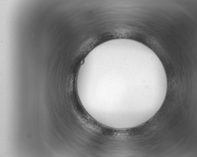 X0000080150694200612302128