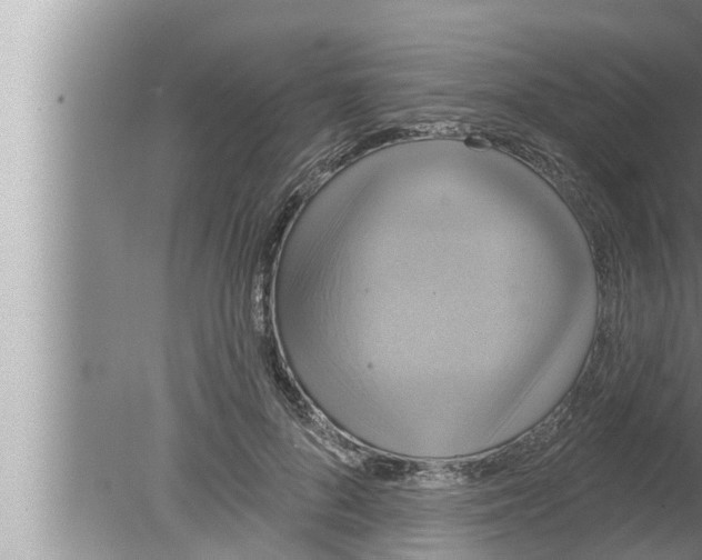 X0000080150696200612302128