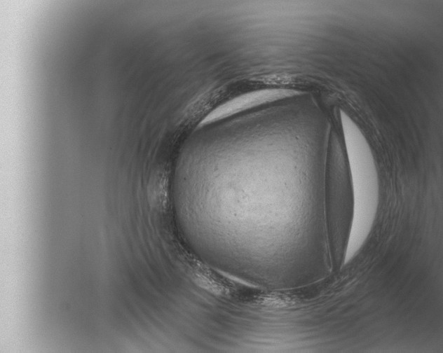 X0000080150697200612302128