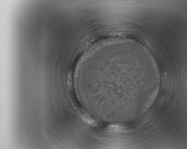 X0000080150699200612302128