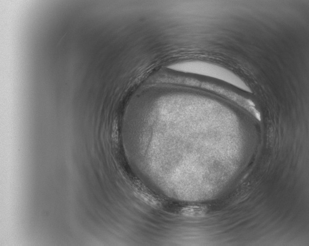 X0000080150700200612302128