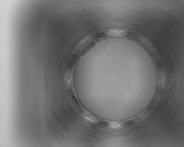 X0000080150701200612302128