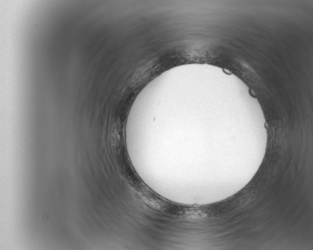 X0000080150702200612302128