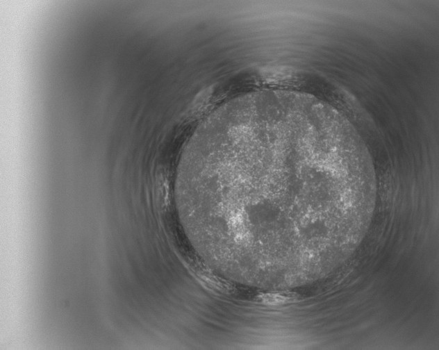 X0000080150703200612302128