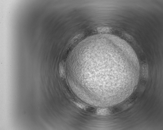 X0000080150705200612302128