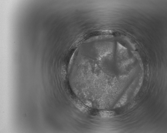 X0000080150707200612302128