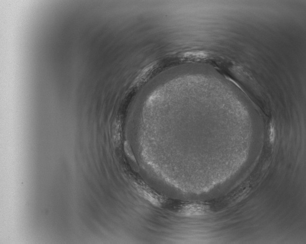 X0000080150708200612302128