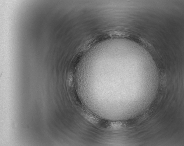 X0000080150709200612302128