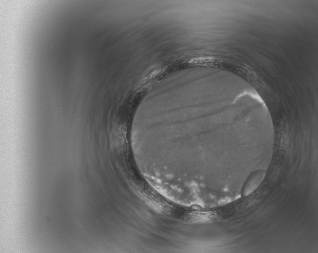 X0000080150711200612302128