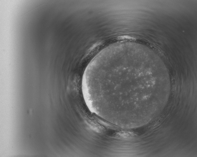 X0000080150712200612302128