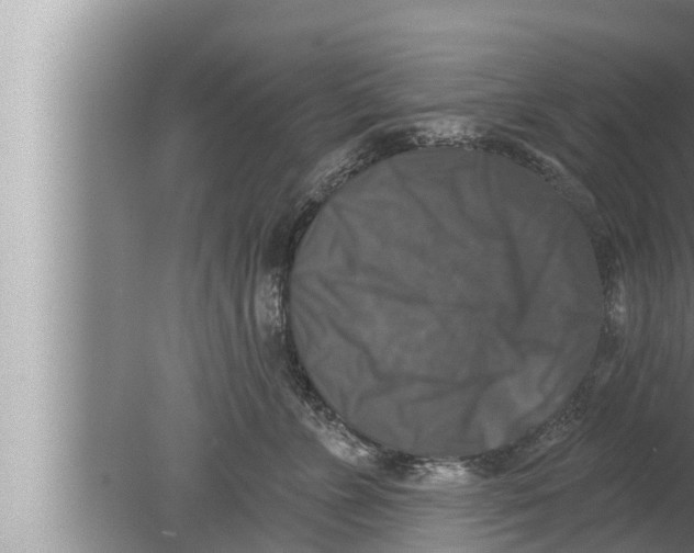 X0000080150715200612302128