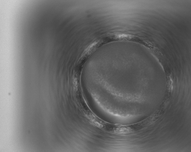 X0000080150716200612302128