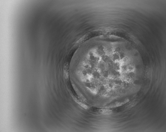 X0000080150719200612302127