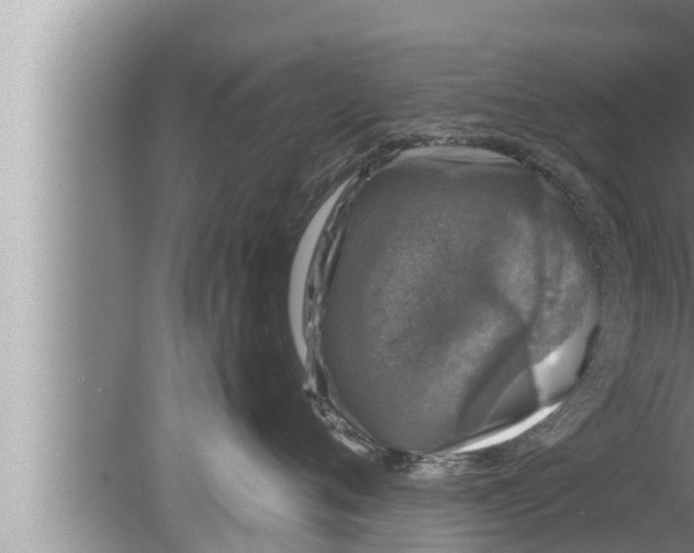 X0000080150720200612302127