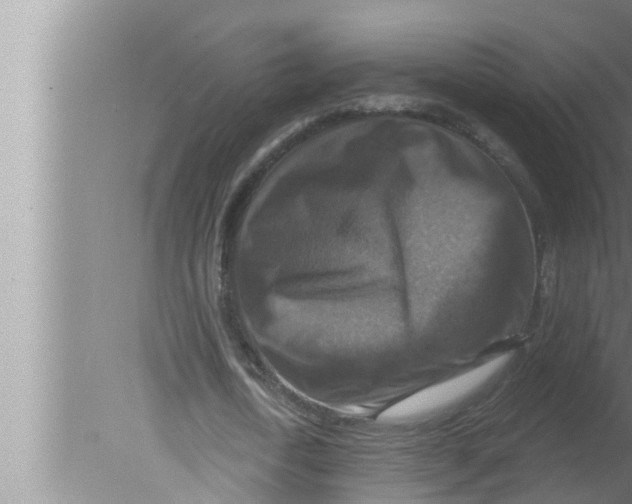 X0000080150722200612302127