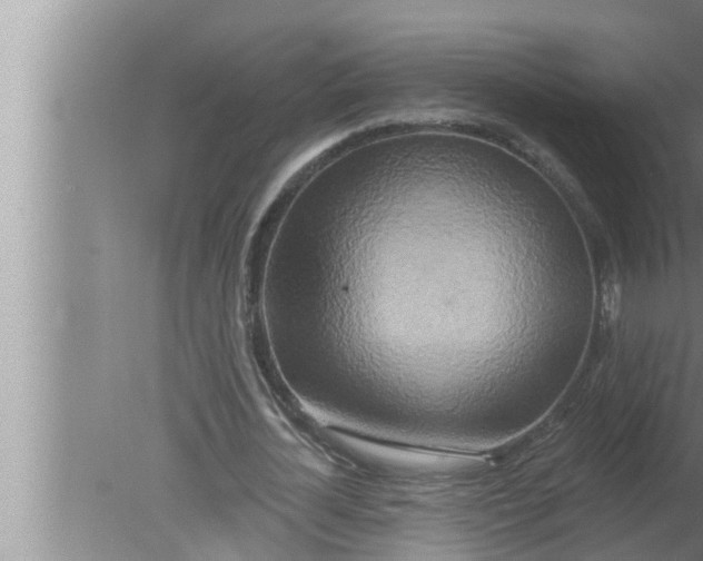 X0000080150724200612302127