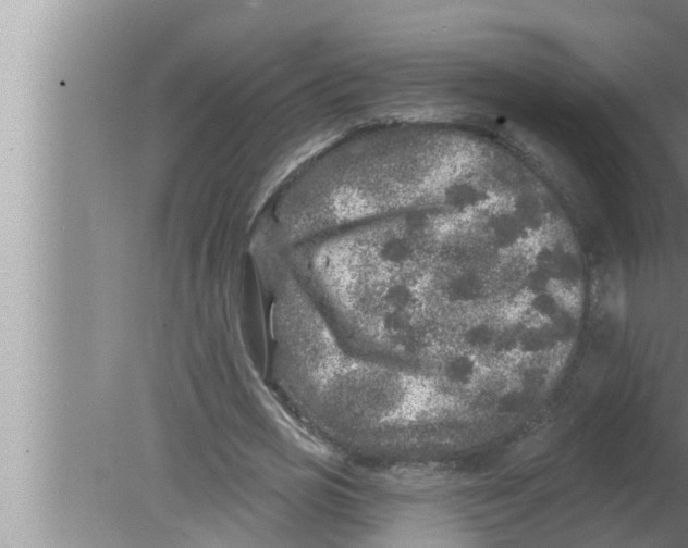 X0000080150725200612302127