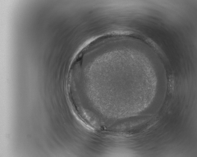 X0000080150726200612302127