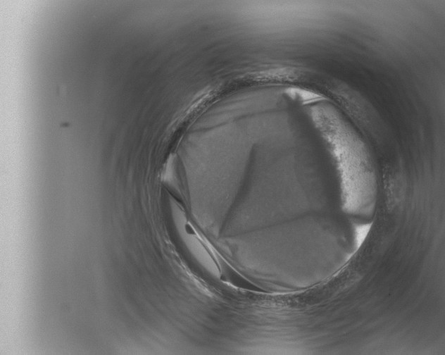 X0000080150729200612302127