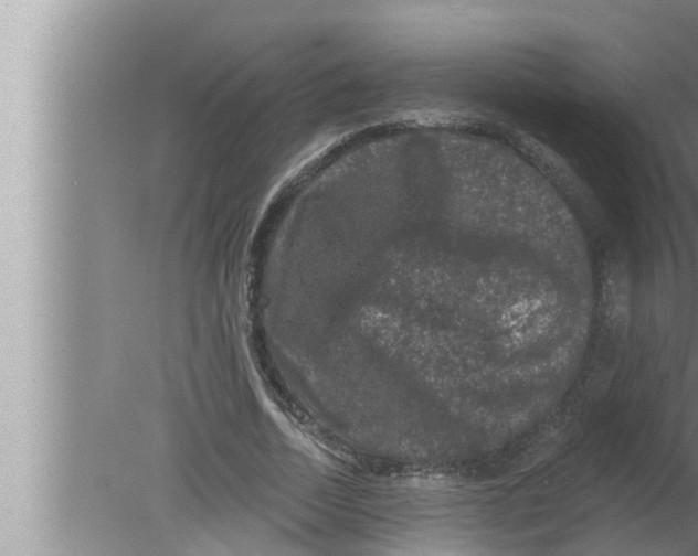 X0000080150730200612302127