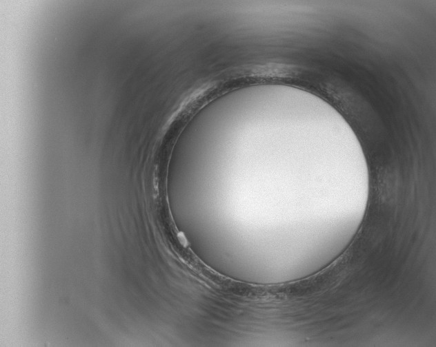 X0000080150731200612302127