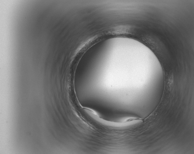 X0000080150732200612302127