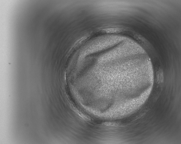 X0000080150733200612302127