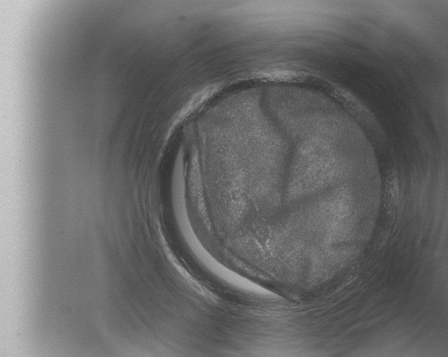 X0000080150734200612302127