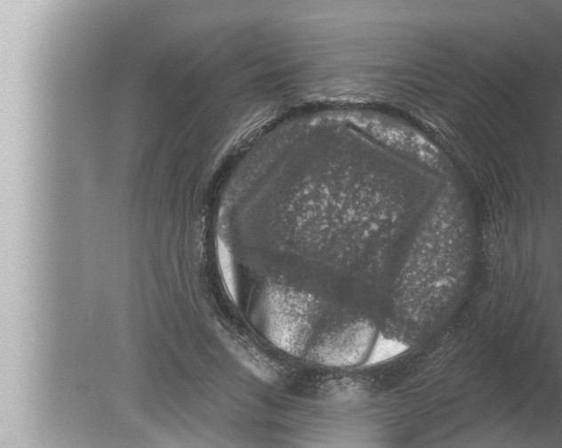 X0000080150735200612302127