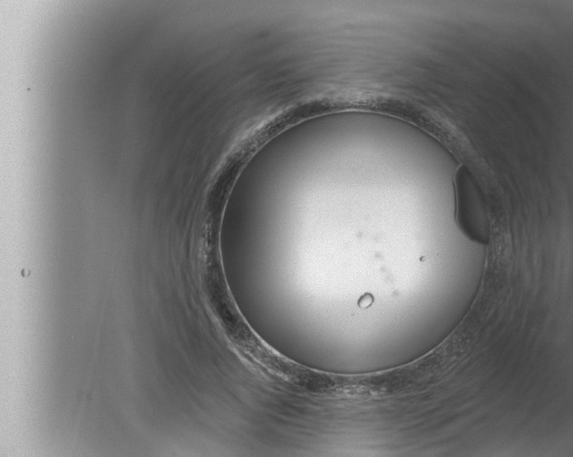 X0000080150736200612302127