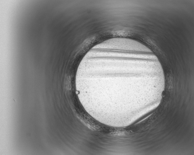 X0000080150738200612302127