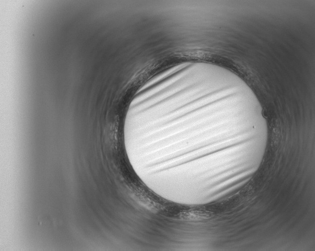 X0000080150739200612302127