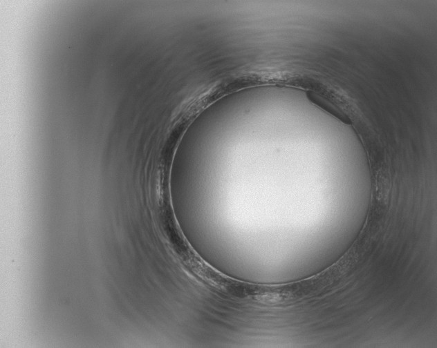 X0000080150740200612302127