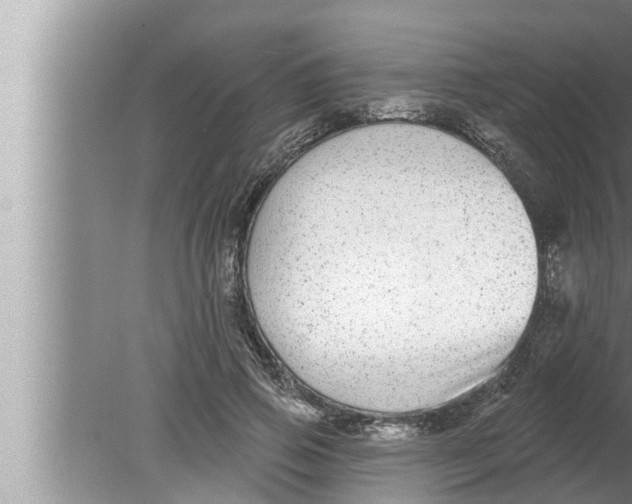 X0000080150741200612302127