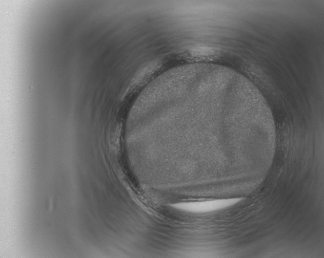 X0000080150742200612302127