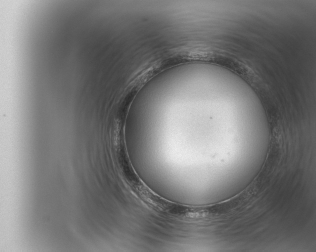 X0000080150744200612302127