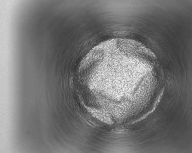 X0000080150745200612302127